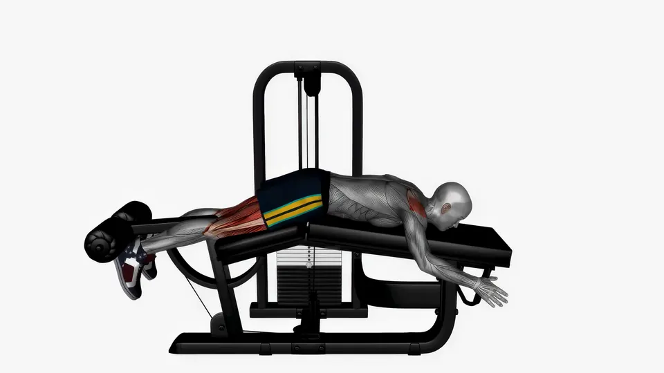 Lying Leg Curl