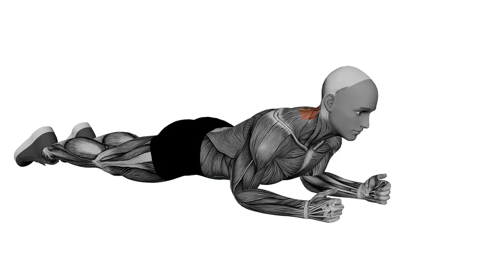 Prone Neck Extension
