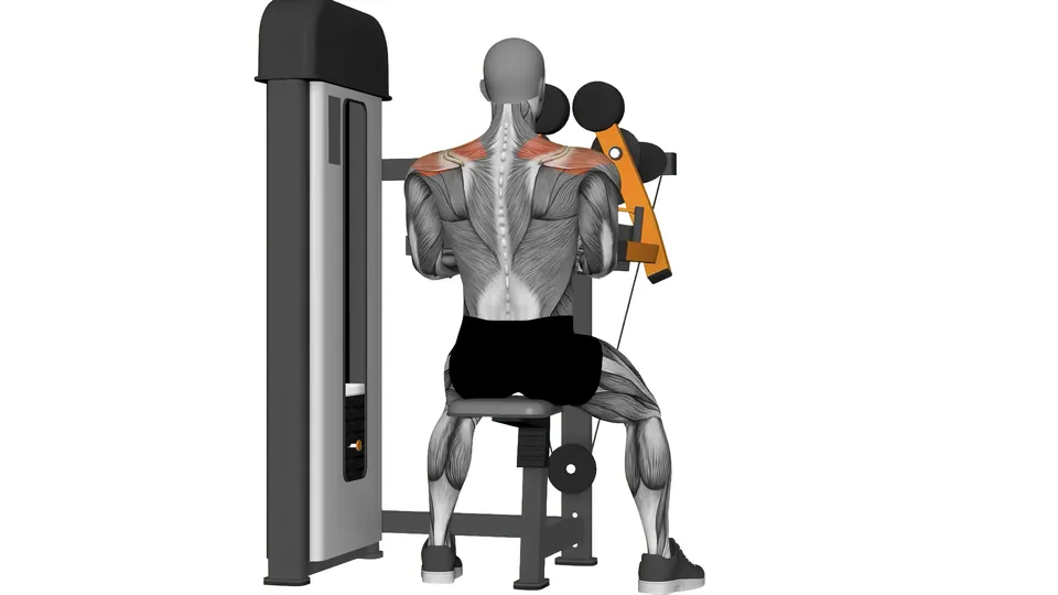 Machine Lateral Raise