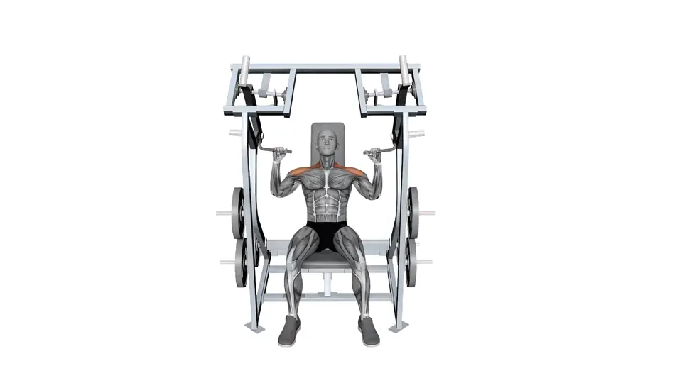 Machine Shoulder Press