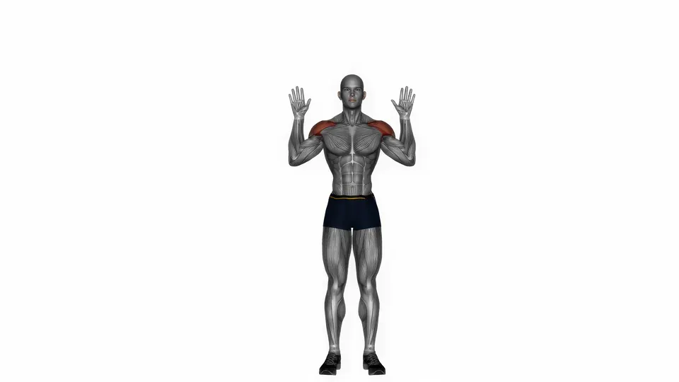 Bodyweight Overhead Press
