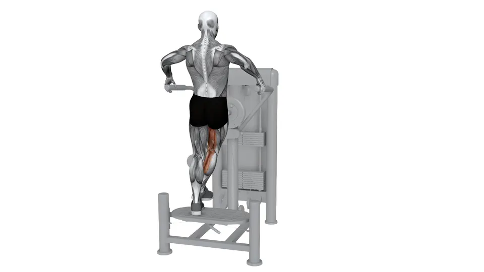 Standing Machine Hip Adduction