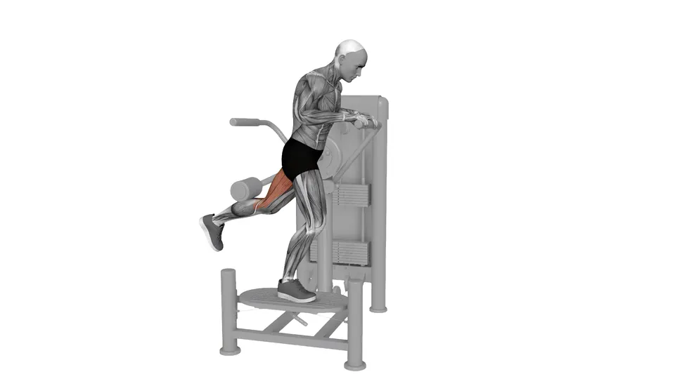 Machine Glute Kickback