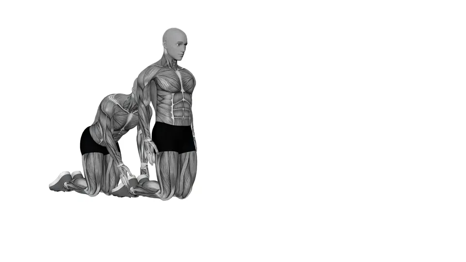 Nordic Hamstring Curl