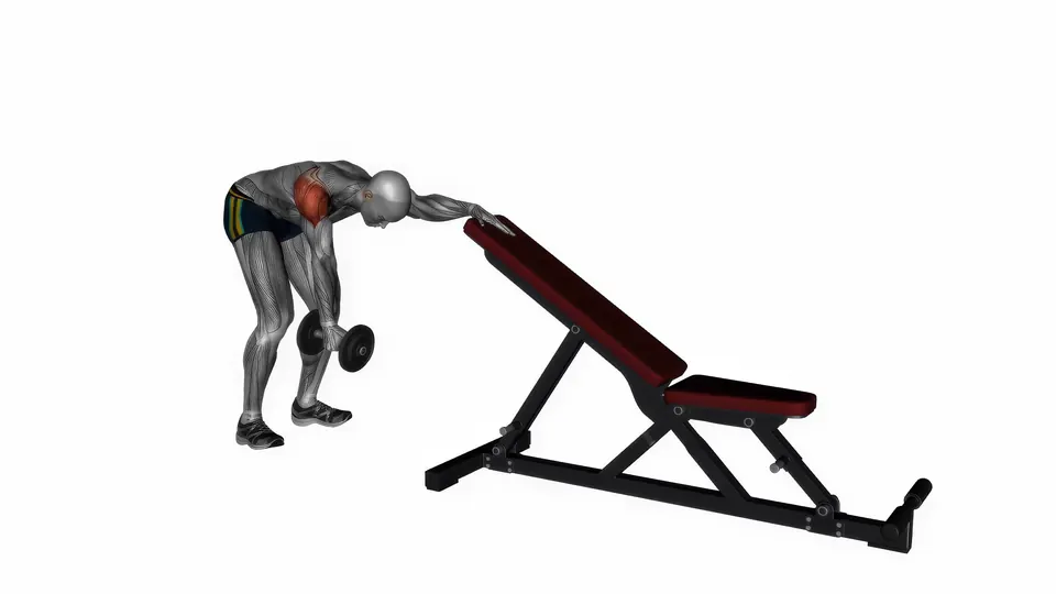 Dumbbell Straight Arm Kickback