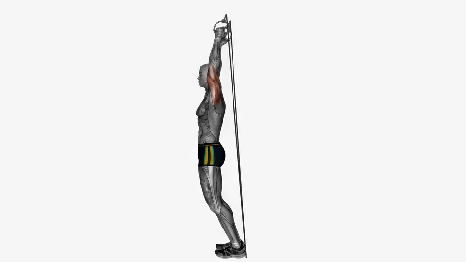 Resistance Band Overhead Triceps Extension