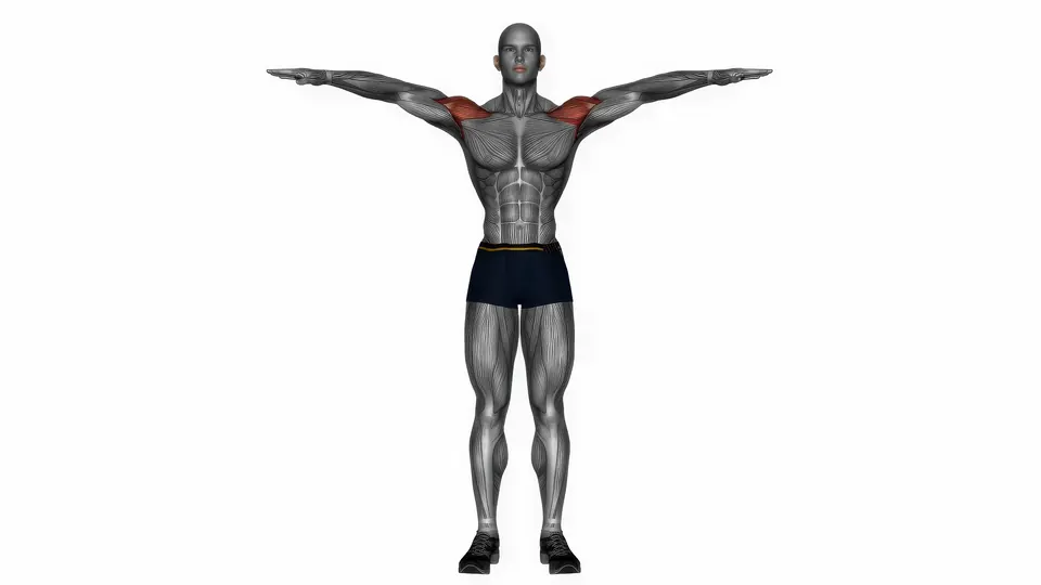 Palm Up Palm Down Arm Rotation