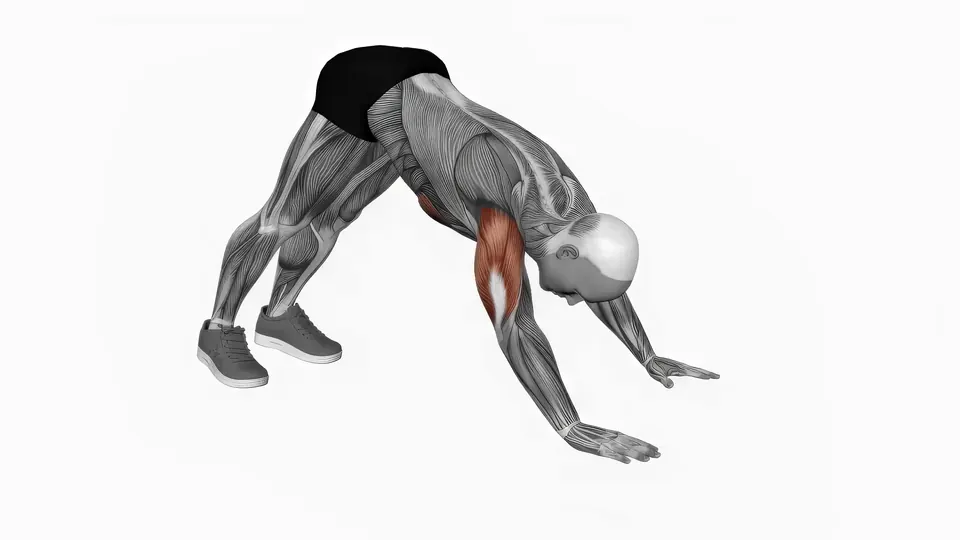 Pike Push-Up