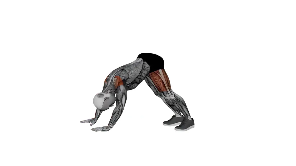 Pike Shoulder Tap