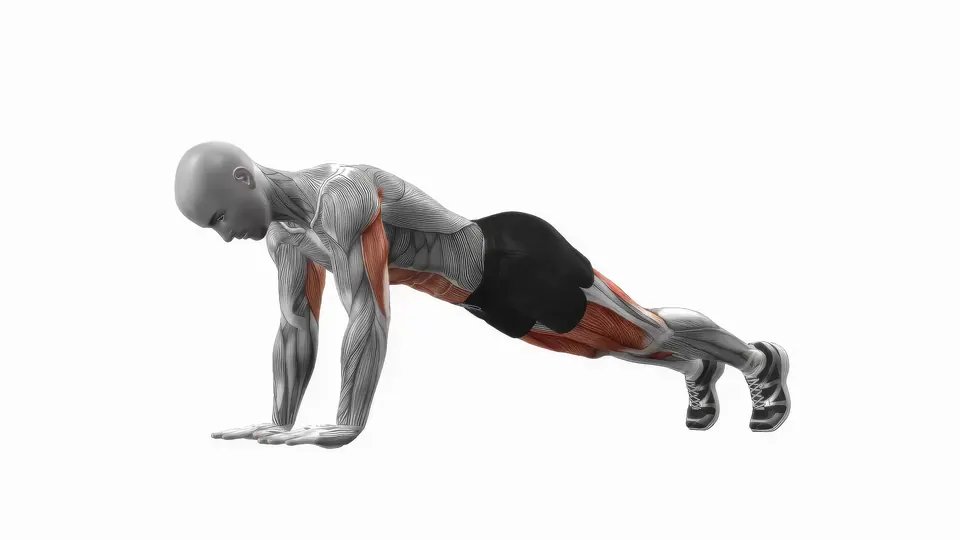 Plank Jump In