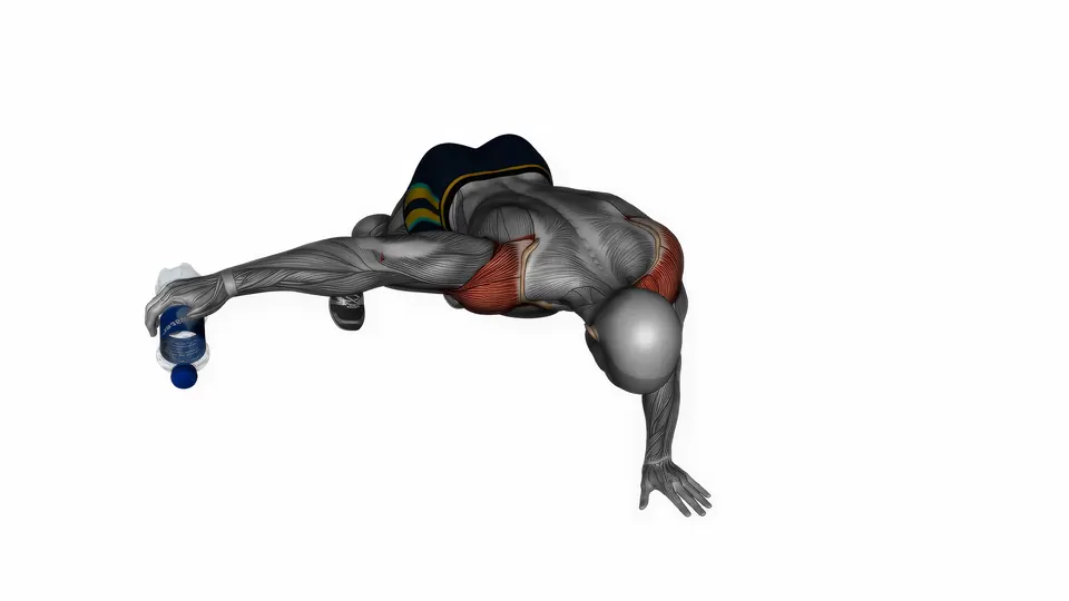 Plank Rear Delt Flye