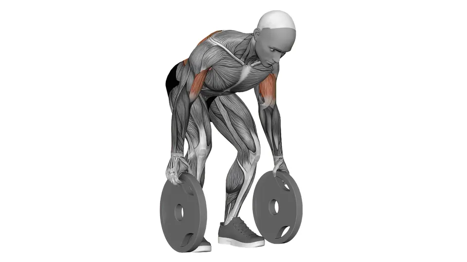 Alternating Plate Row
