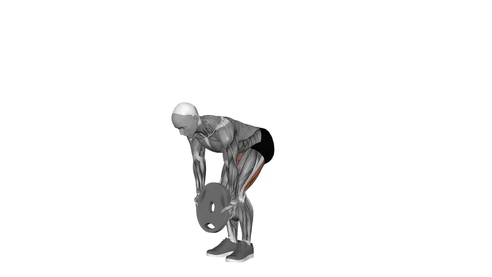 Plate Romanian Deadlift