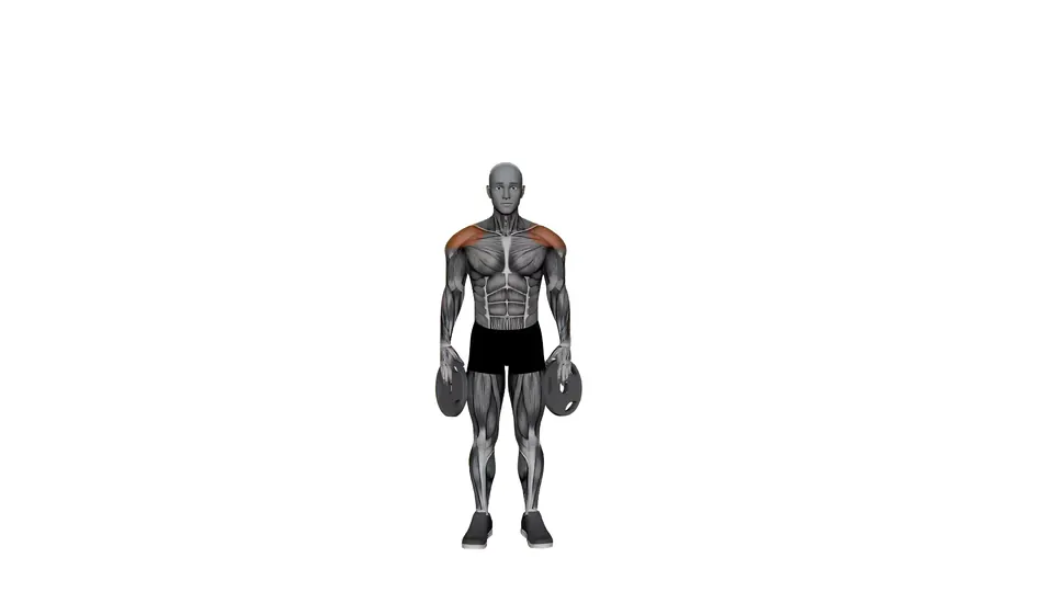 Plate Overhead Lateral Raise