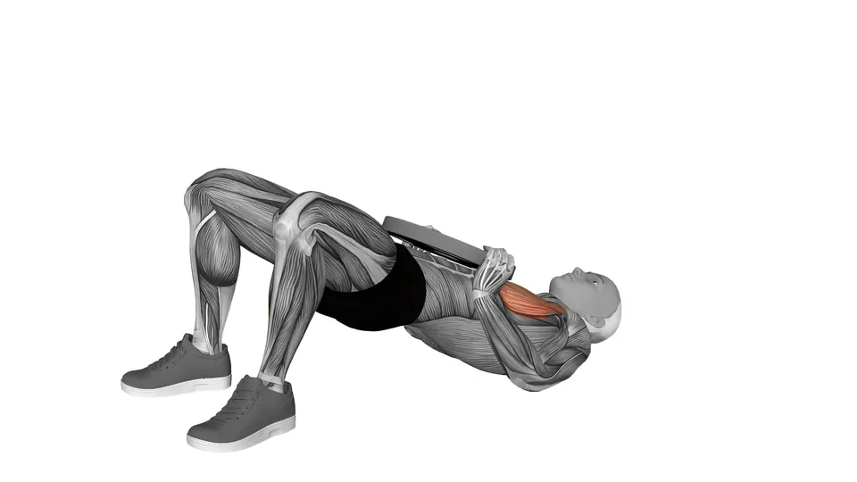 Plate Glute Bridge Chest Press