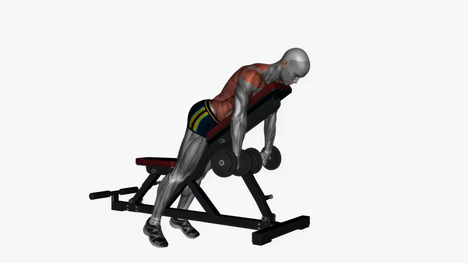 Chest Supported Overhand Grip Dumbbell Row