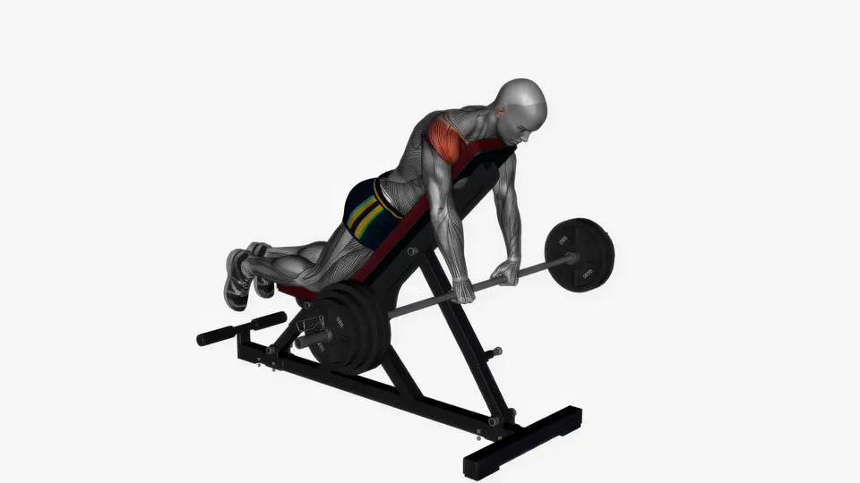 Chest Supported Barbell Front Raise