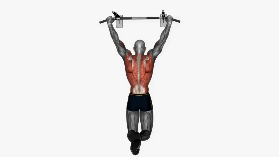 Pull-Up