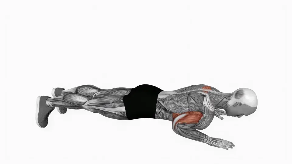 Push-Up Plus