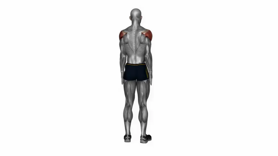 Behind the Back Shoulder Stretch