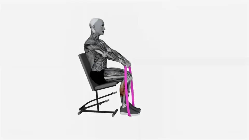 Resistance Band Seated Calf Raise