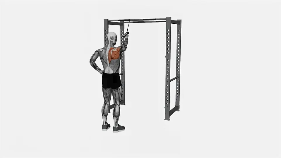 Single Arm Resistance Band Straight Arm Pulldown