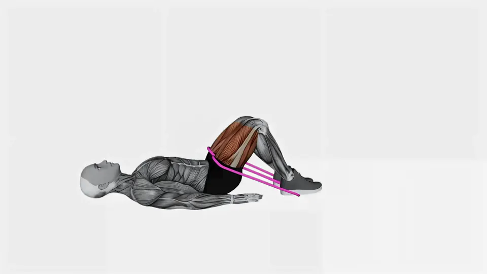 Resistance Band Glute Bridge (Band Across Hips)