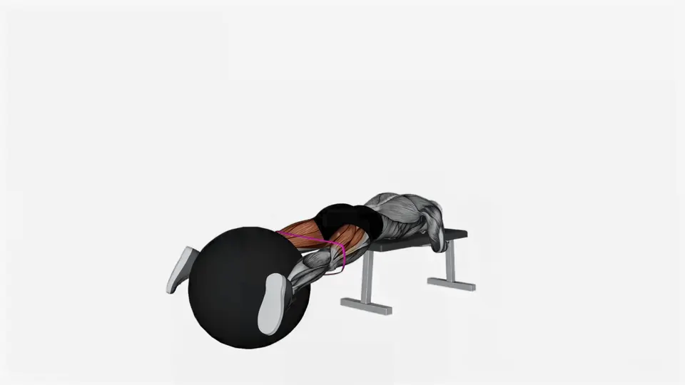 Reverse Hyperextension with Stability Ball and Mini Band