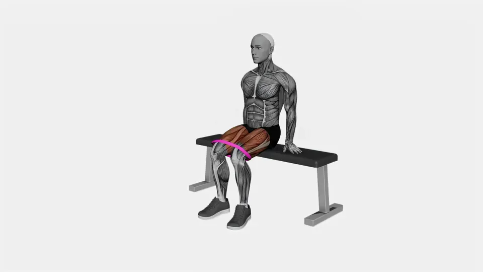 Seated Mini Band Hip Abduction