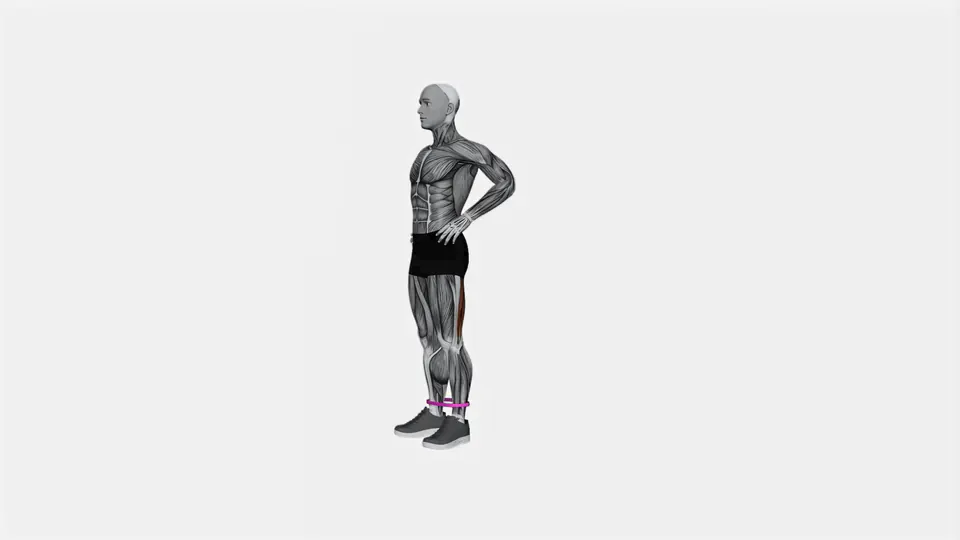 Resistance Band Glute Kickback