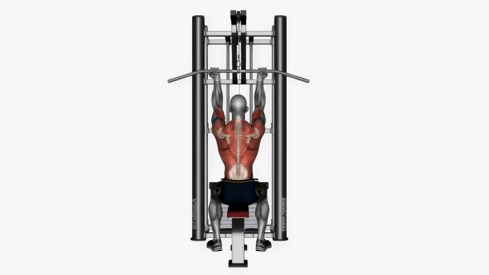Lat Pulldown (Reverse Grip)