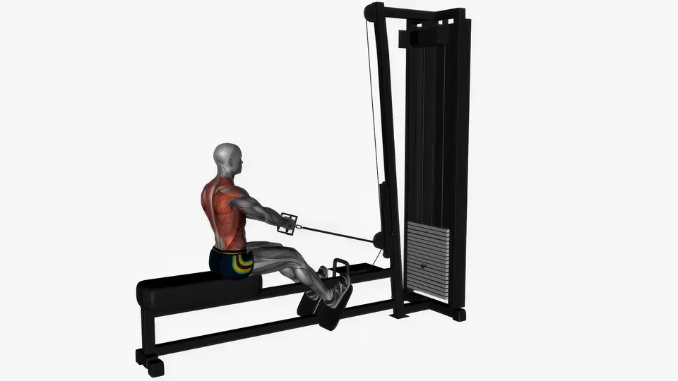 Seated Cable Row (Close Grip)