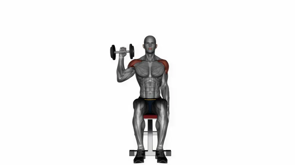 Single Arm Seated Dumbbell Shoulder Press