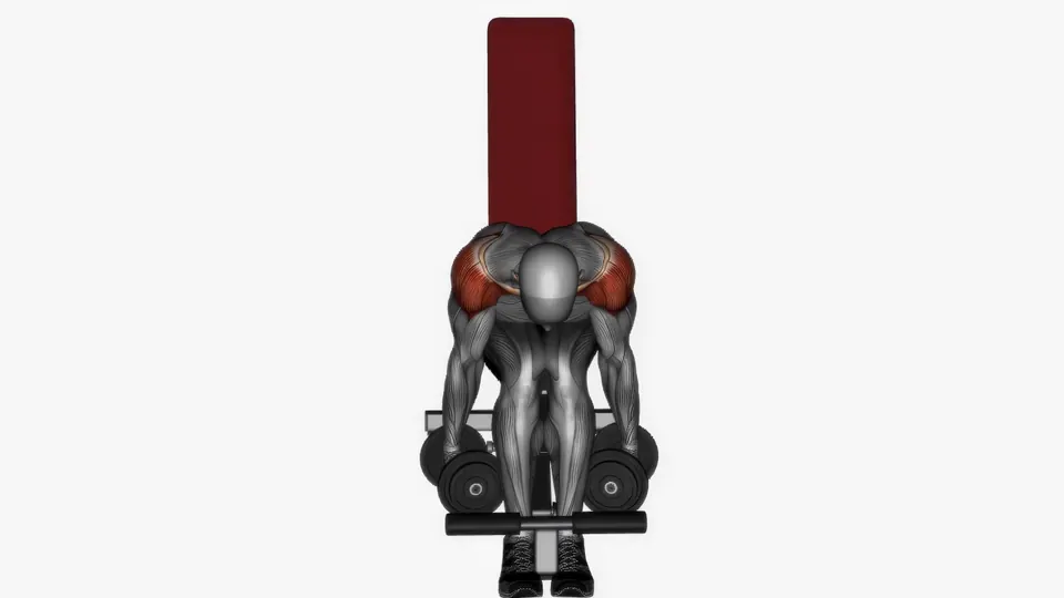 Seated Dumbbell Rear Delt Raise