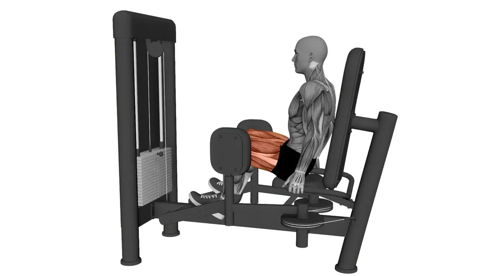Hip Abductor Machine