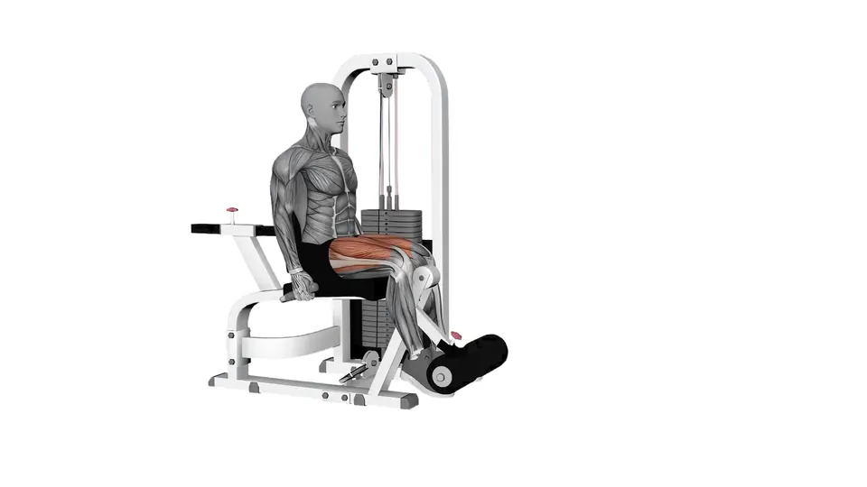 Single Leg Extension