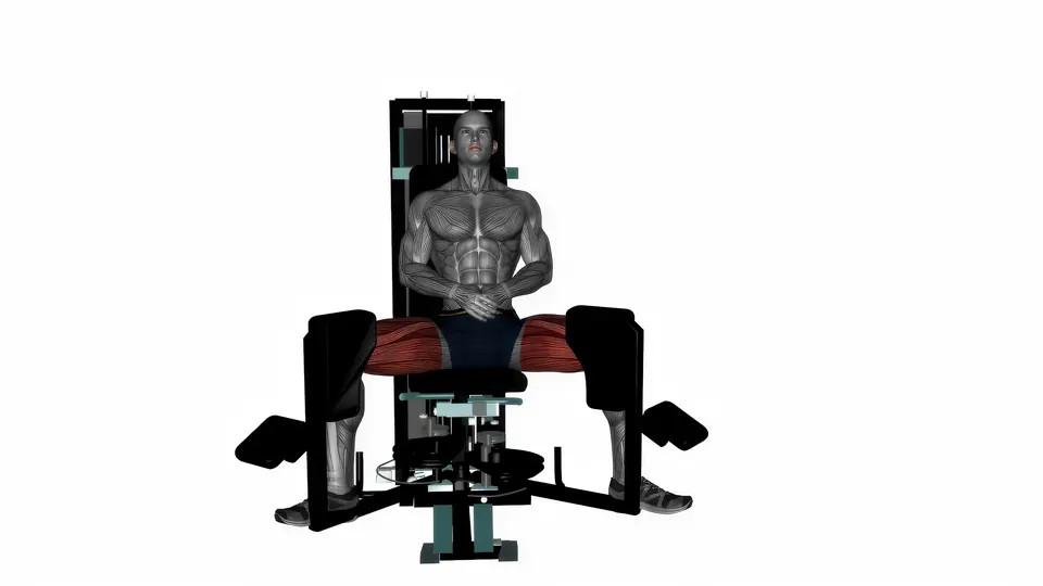 Hip Adductor Machine