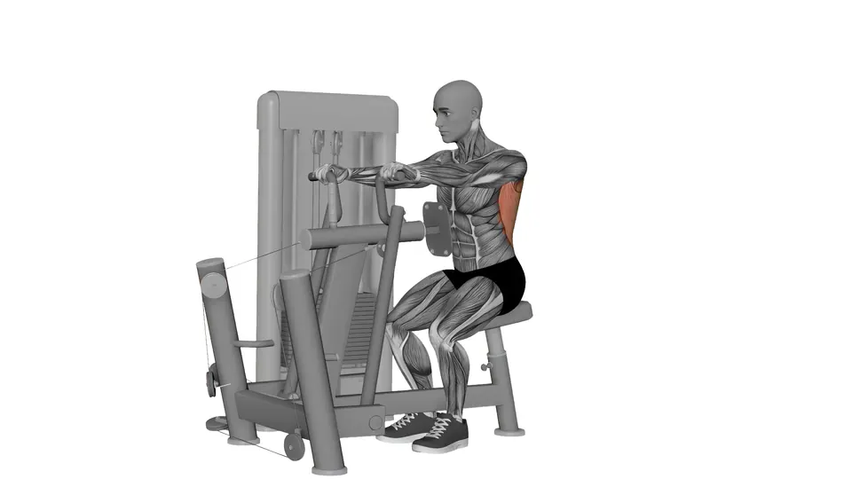 Seated Machine Row