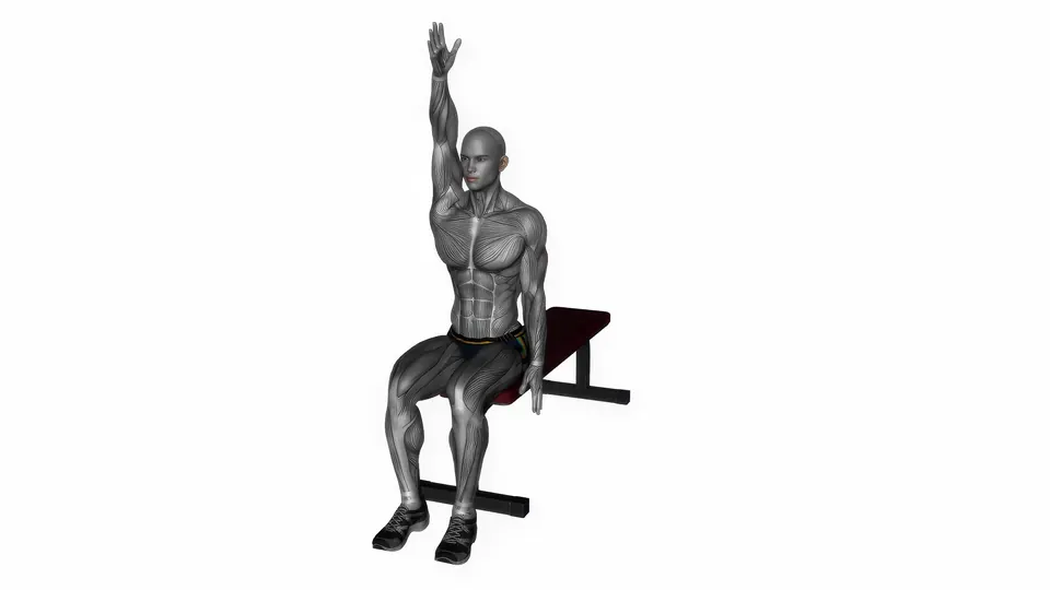 Seated Overhead Lat Stretch