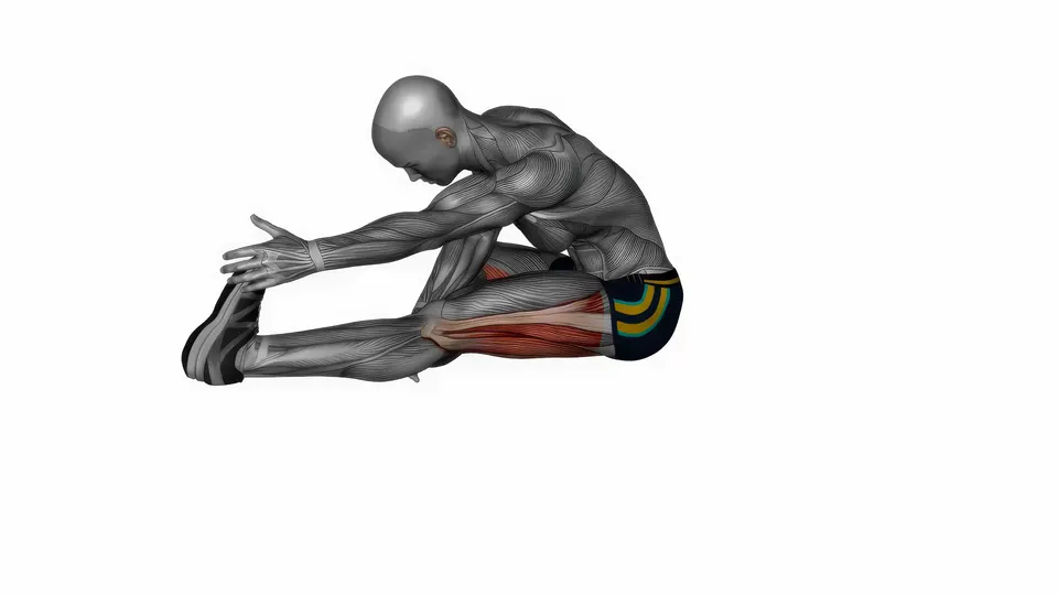 Seated Forward Fold