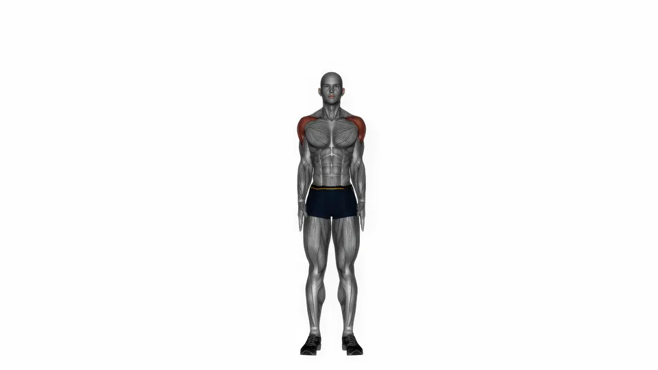 Bodyweight Overhead Front Raise