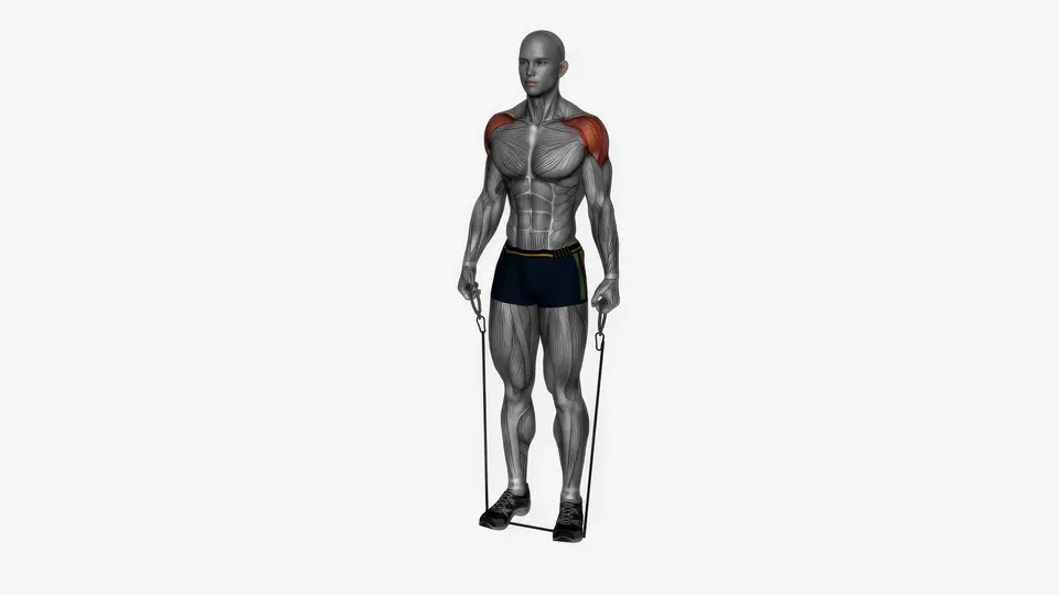 Resistance Band Lateral Raise