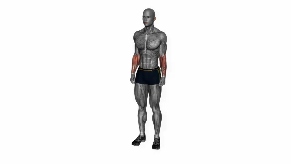 Standing Wrist Extensor Stretch
