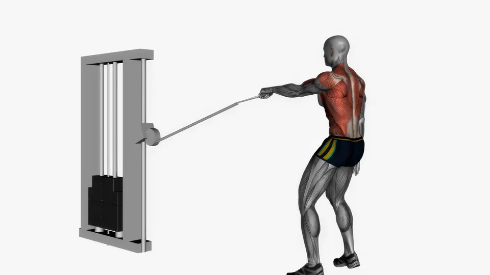Single Arm Cable Row