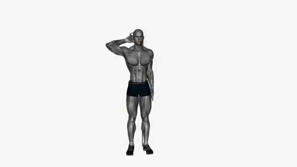 Single Arm Overhead Resistance Band Triceps Extension