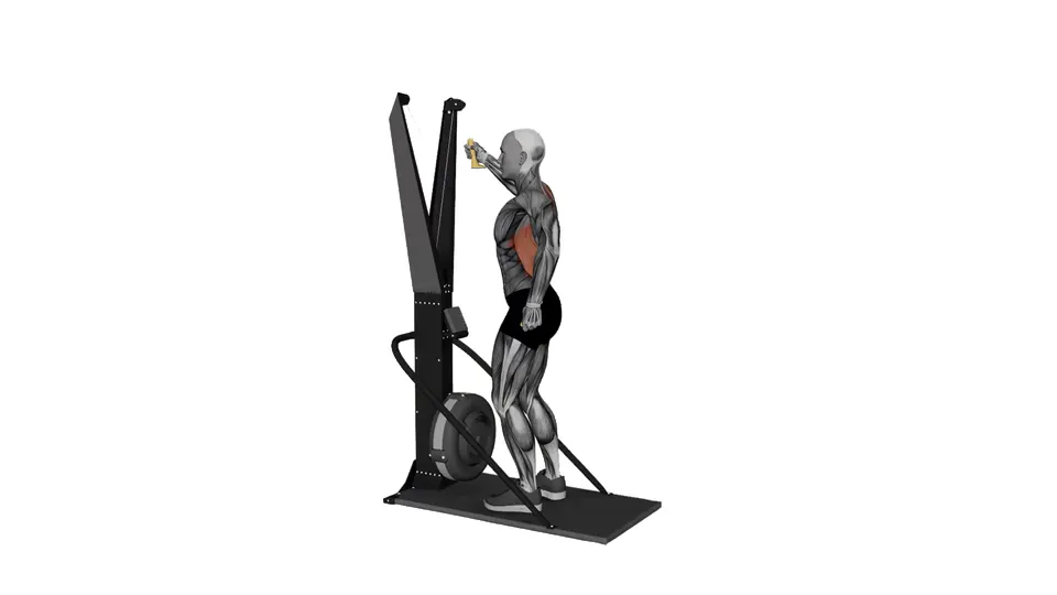 Alternating Arm Ski Erg
