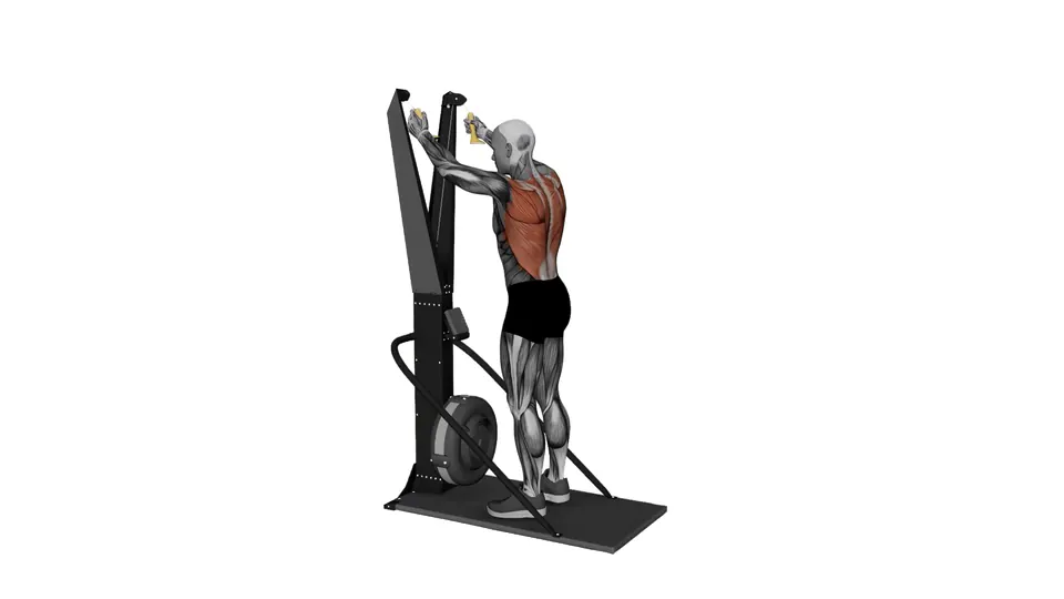 Ski Erg