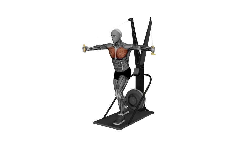 Ski Erg Chest Flye