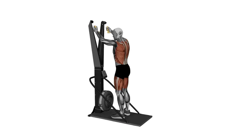 Ski Erg Jump Squat Pull