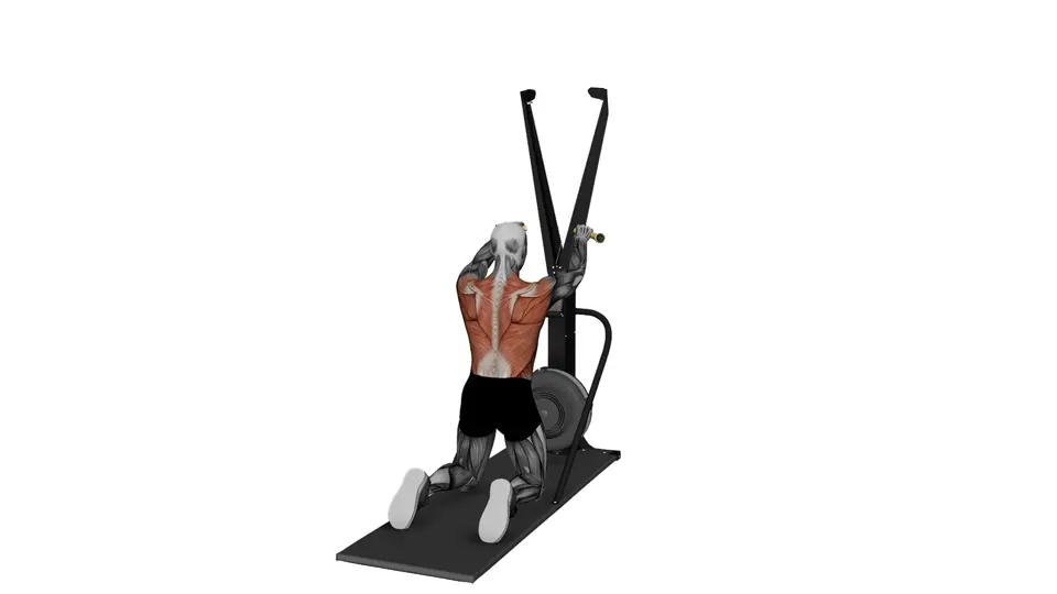 Tall Kneeling Ski Erg Reverse Fly